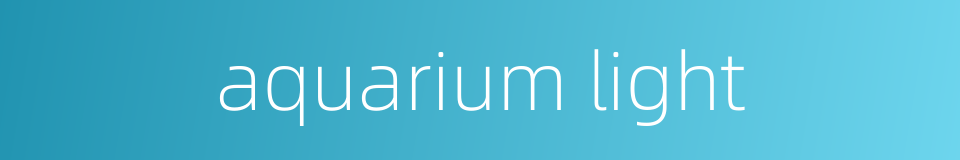 aquarium light的同义词