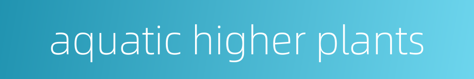 aquatic higher plants的同义词