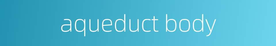 aqueduct body的同义词