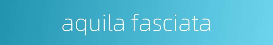 aquila fasciata的同义词