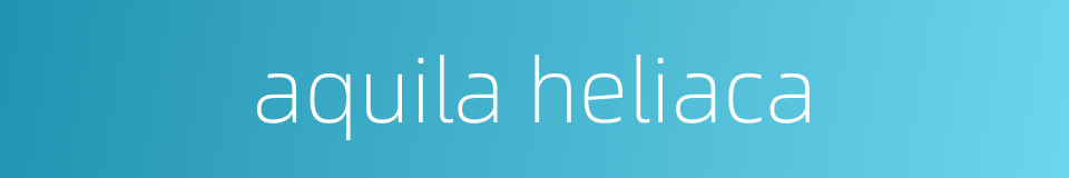 aquila heliaca的同义词