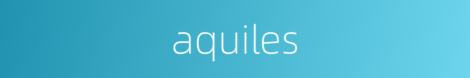 aquiles的同义词