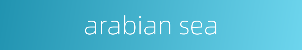 arabian sea的同义词