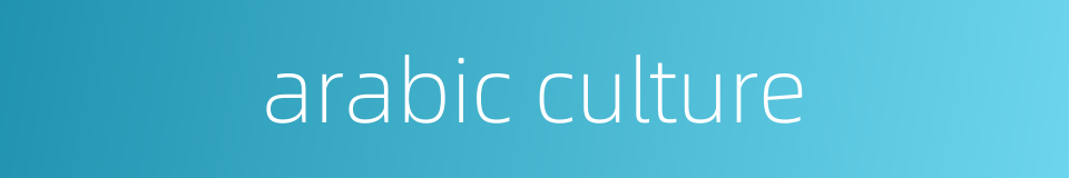 arabic culture的同义词