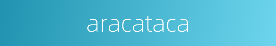 aracataca的同义词
