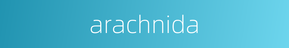 arachnida的同义词