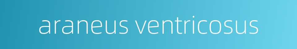araneus ventricosus的同义词