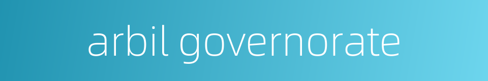 arbil governorate的同义词
