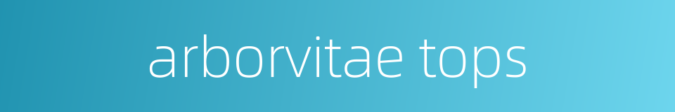 arborvitae tops的同义词