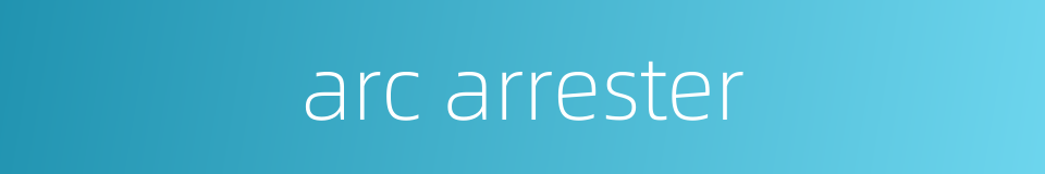 arc arrester的同义词