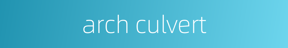 arch culvert的同义词