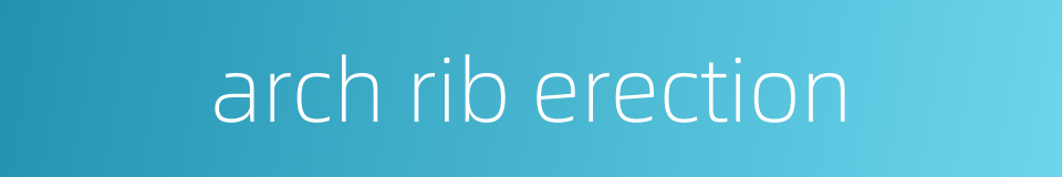 arch rib erection的同义词