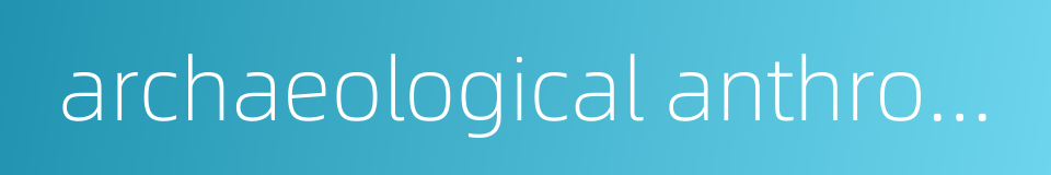 archaeological anthropology的同义词