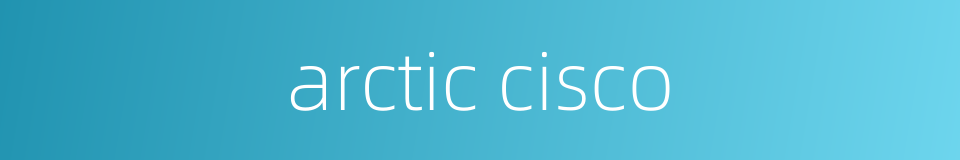 arctic cisco的同义词