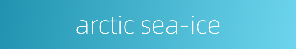 arctic sea-ice的同义词