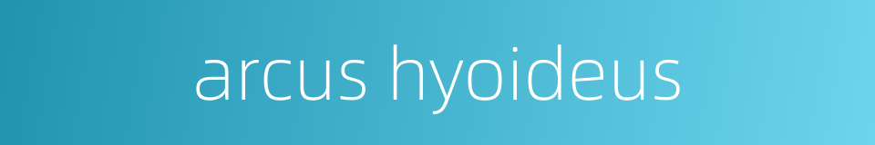 arcus hyoideus的同义词