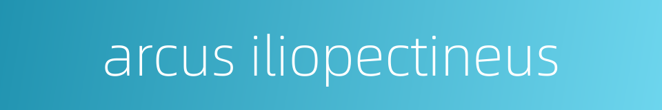arcus iliopectineus的同义词