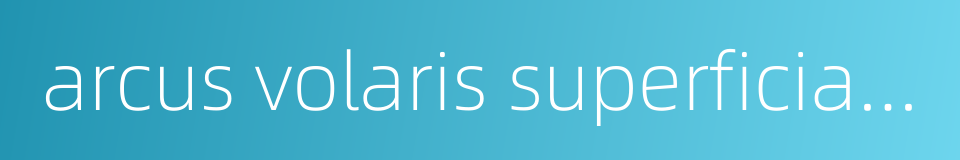 arcus volaris superficialis的同义词