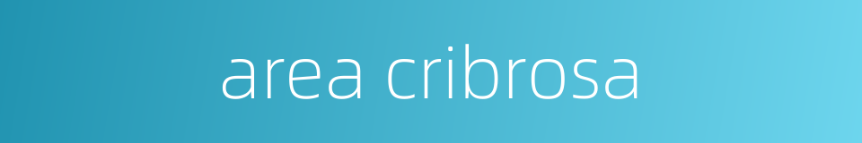 area cribrosa的同义词