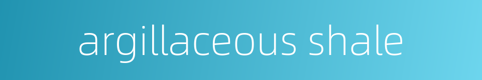 argillaceous shale的同义词