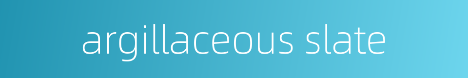 argillaceous slate的同义词