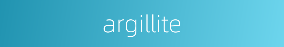 argillite的同义词