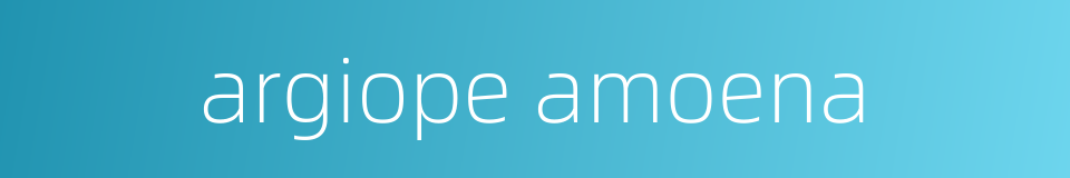 argiope amoena的同义词