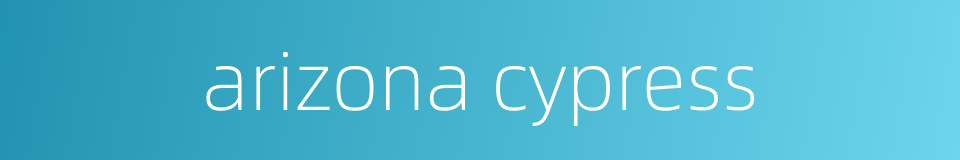 arizona cypress的同义词