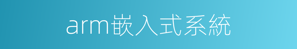 arm嵌入式系統的同義詞