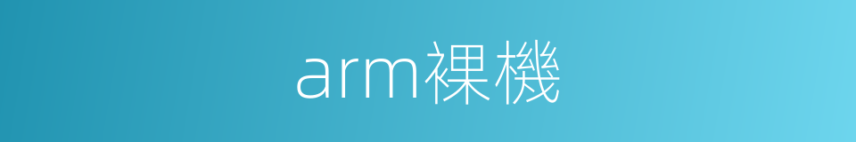 arm裸機的同義詞