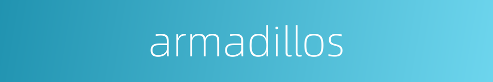 armadillos的同义词