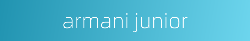 armani junior的同义词