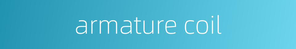 armature coil的同义词
