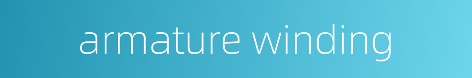 armature winding的同义词