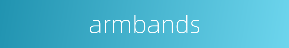 armbands的同义词