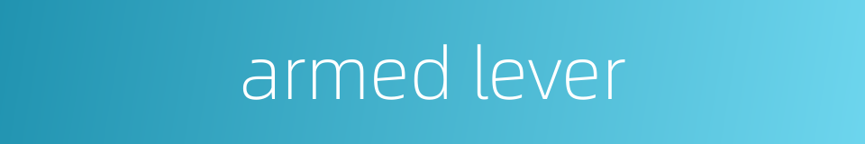 armed lever的同义词