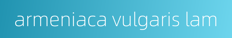 armeniaca vulgaris lam的同义词