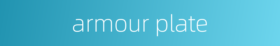 armour plate的同义词