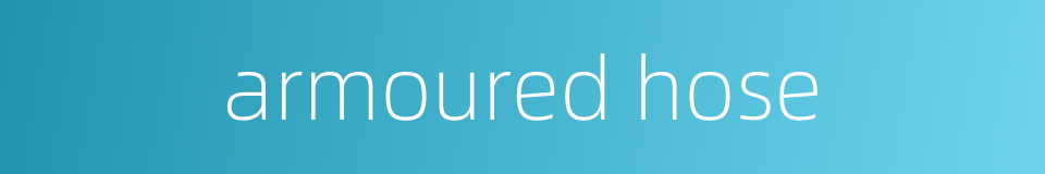 armoured hose的同义词