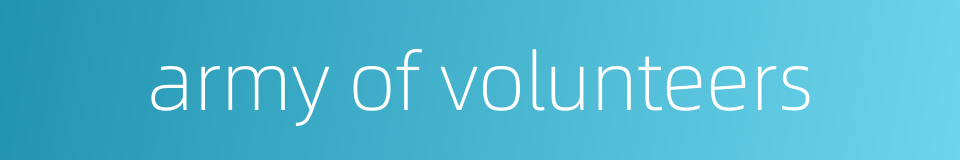 army of volunteers的同义词