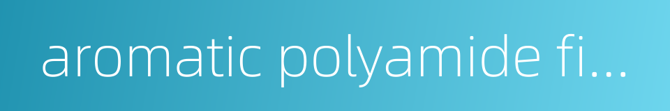aromatic polyamide fibre的同义词