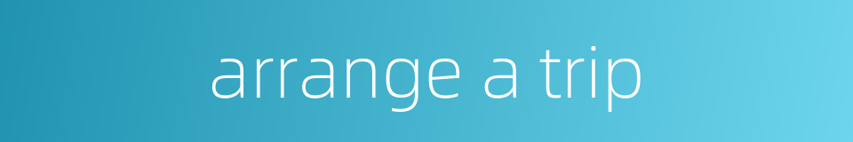 arrange a trip的同义词