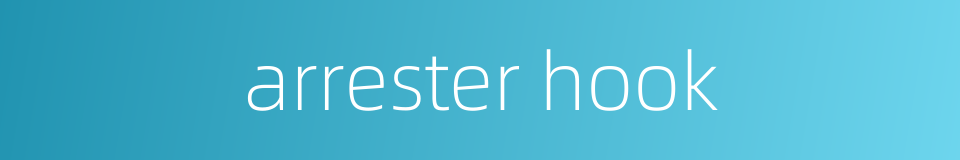 arrester hook的同义词