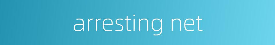 arresting net的同义词