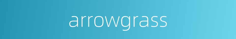 arrowgrass的同义词