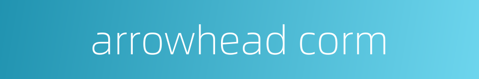 arrowhead corm的同义词