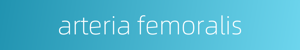 arteria femoralis的同义词