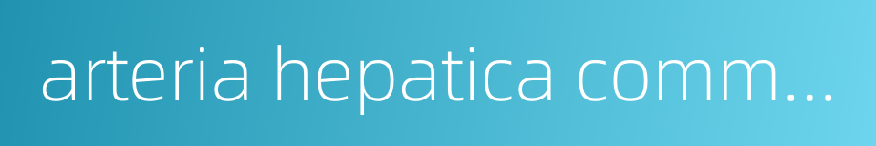 arteria hepatica communis的同义词