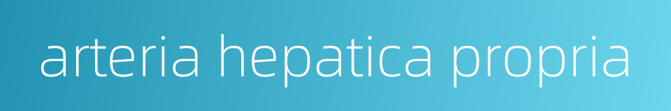 arteria hepatica propria的同义词