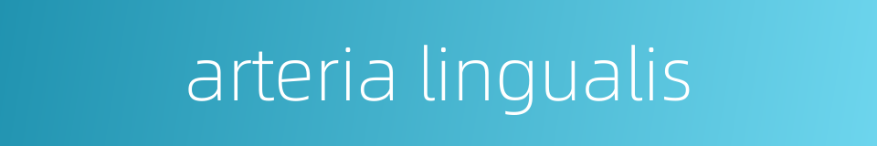 arteria lingualis的同义词